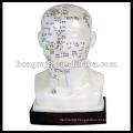 ISO Head acupuncture model 20CM, PVC acupuncture model